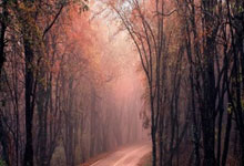 雷火电竞入口-NBA｜国米双星闪耀，命运十字路口的双重奏！