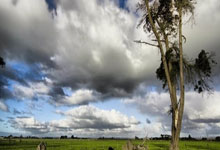 雷火电竞平台-当紫金军团遇上日耳曼战车：一场改写体育商业版图的跨界烽烟
