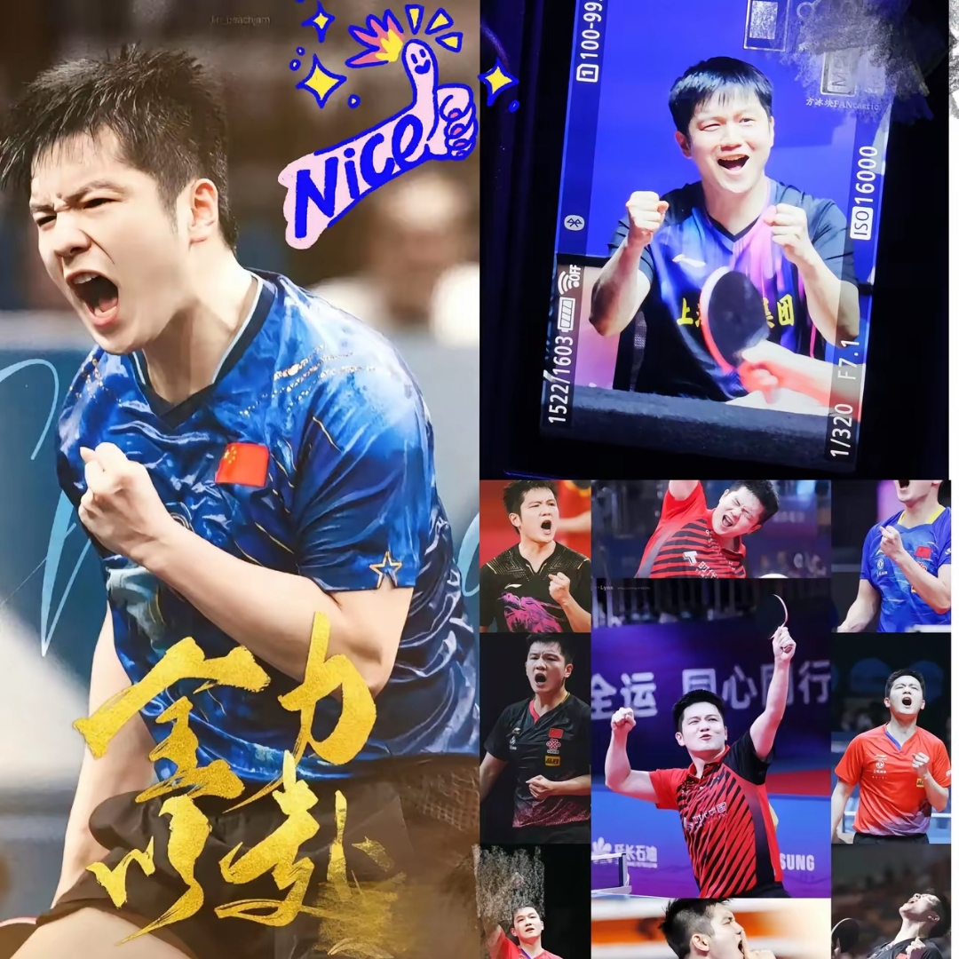 瑞典队碾压法国队，樊振东高光表现