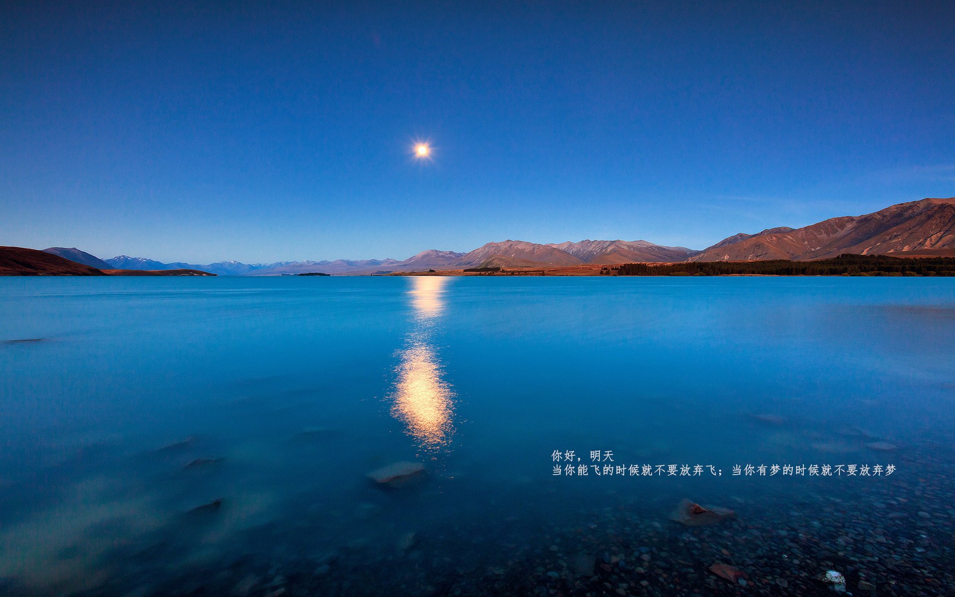 绿茵琴弦上的唯一主宰，2026世界杯之夜，马克西封神无争议