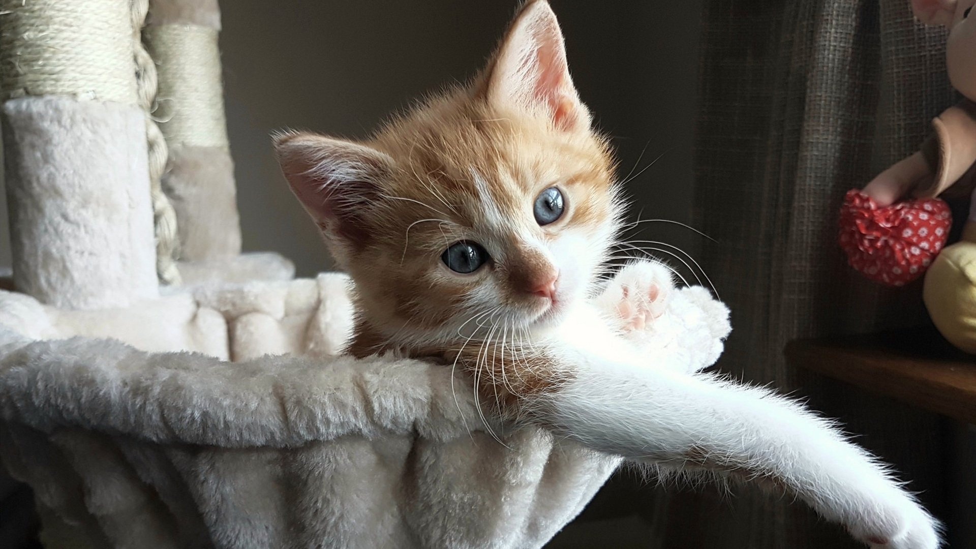 雷火电竞主播-沉默指挥官华丽转身，范弗利特数据全面爆炸之夜如何悄然颠覆尼克斯攻防体系