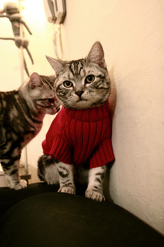 铁闸觉醒！德里赫特头槌定江山，荷兰战车碾过亚特兰大驶向王座