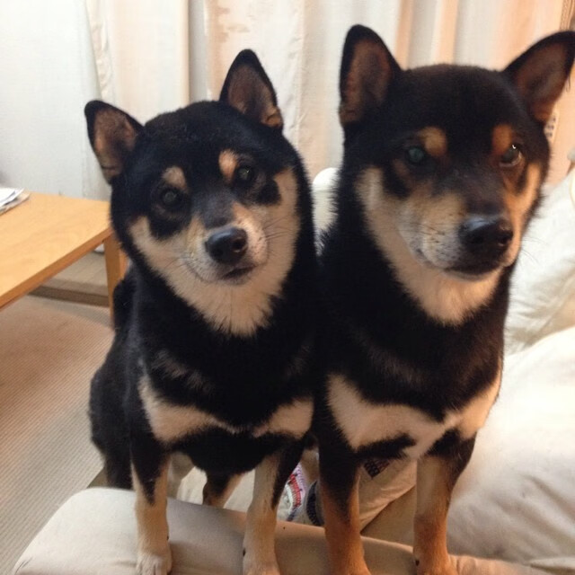 雷火电竞网站-混凝土与彩虹的对决，当尤文节奏掌控南非的狂野