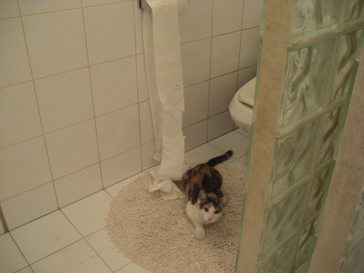 当文班亚马仰望记分牌,哈利伯顿正在修改联盟秩序