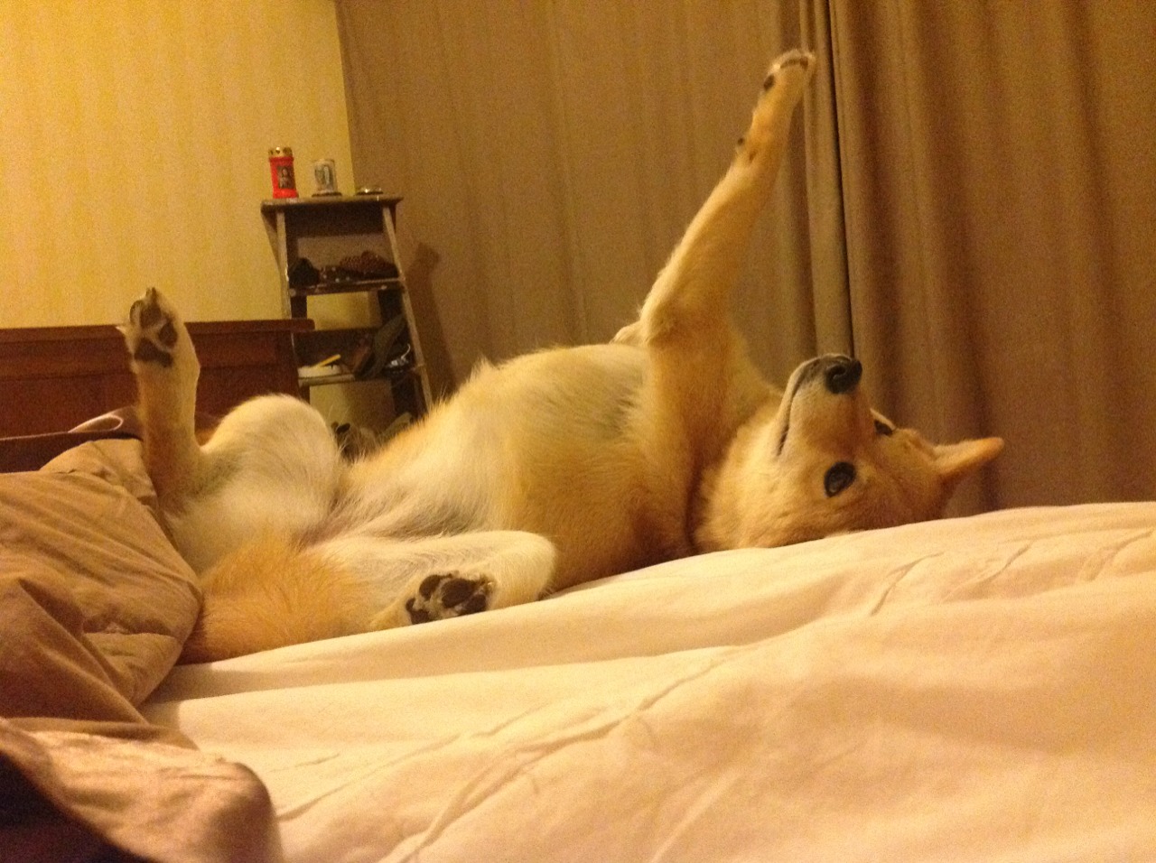 雷火电竞充值-洪都拉斯奇迹，踏平曼联，巴斯托尼全程高能输出引领胜利