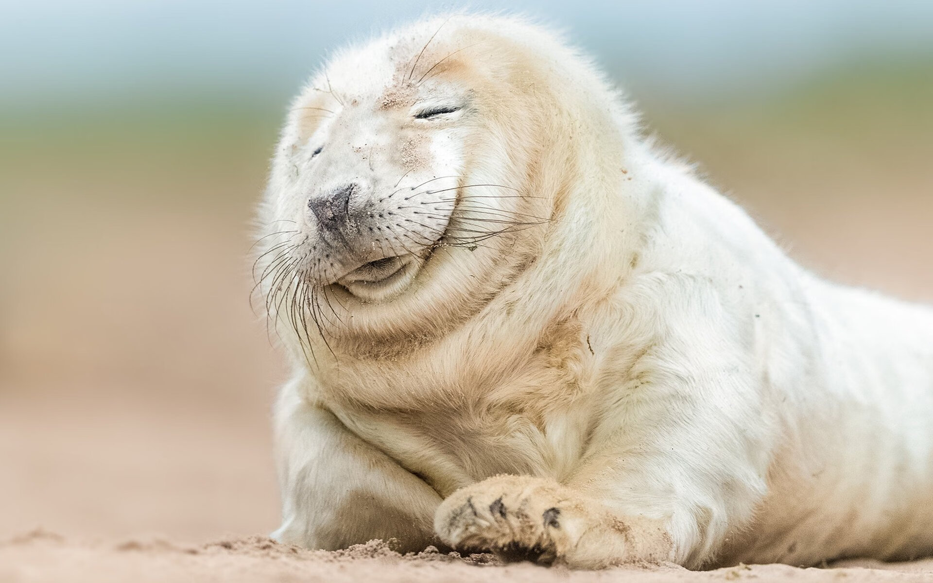 雷火电竞亚洲先驱-夕阳与新星，当三巨头余晖散去，塔图姆的时代已然破晓
