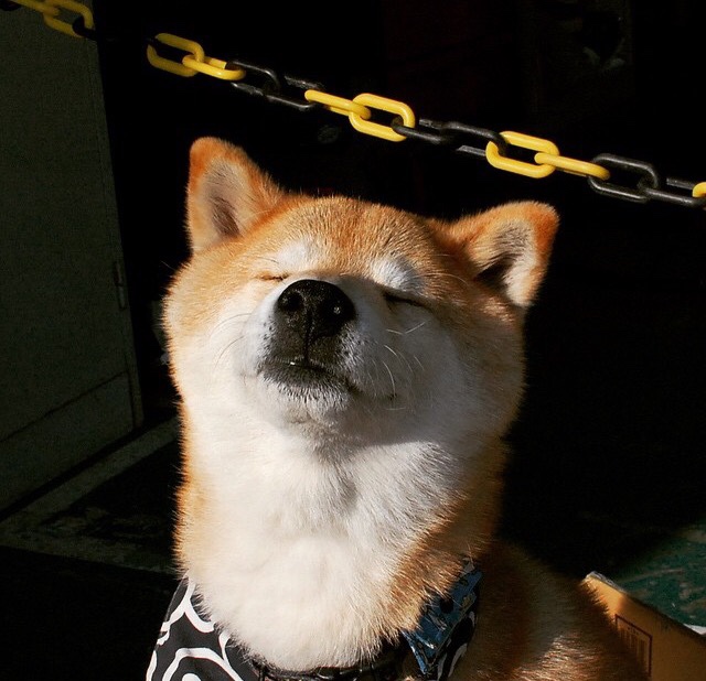 雷火电竞入驻-亚洲之光，欧冠之巅，孙兴慜生涯史诗夜