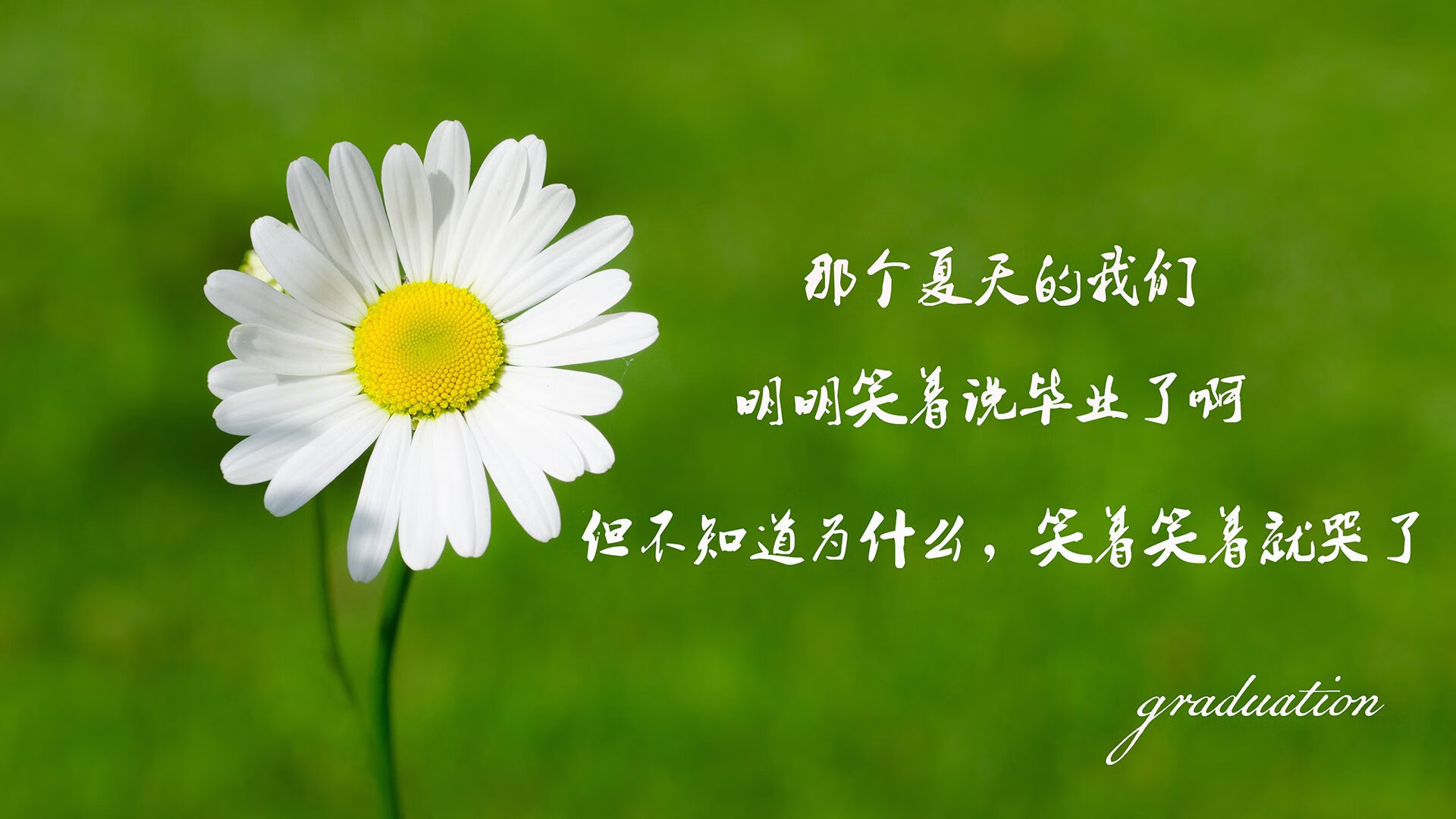 2026世界杯F组生死战,美国风暴横扫伊拉克,B费独舞点亮北美之夜