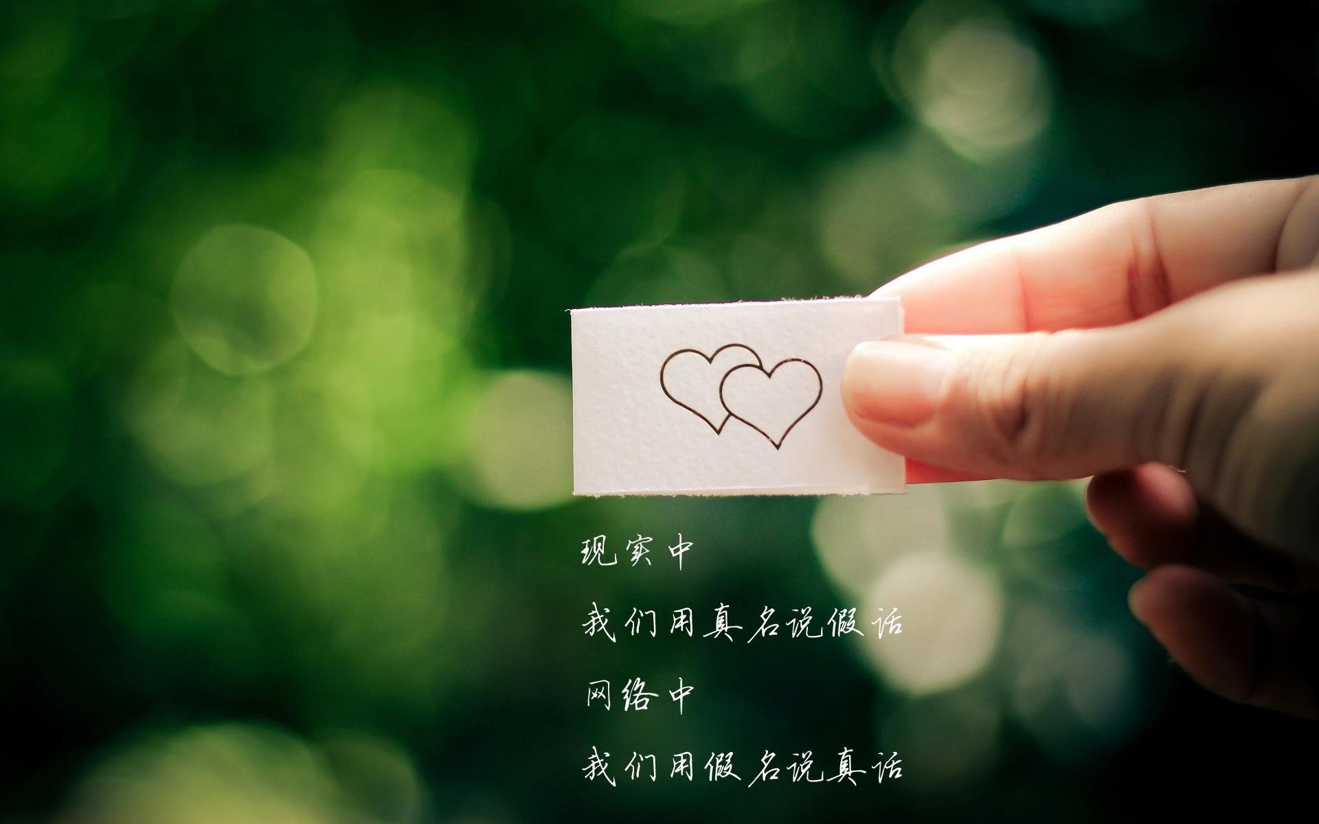 唯一之约，2026世界杯F组，当坎塞洛的弧线切开美利坚的防线